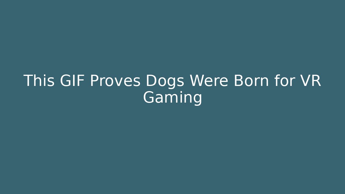 This GIF Proves Dogs Were Born for VR Gaming