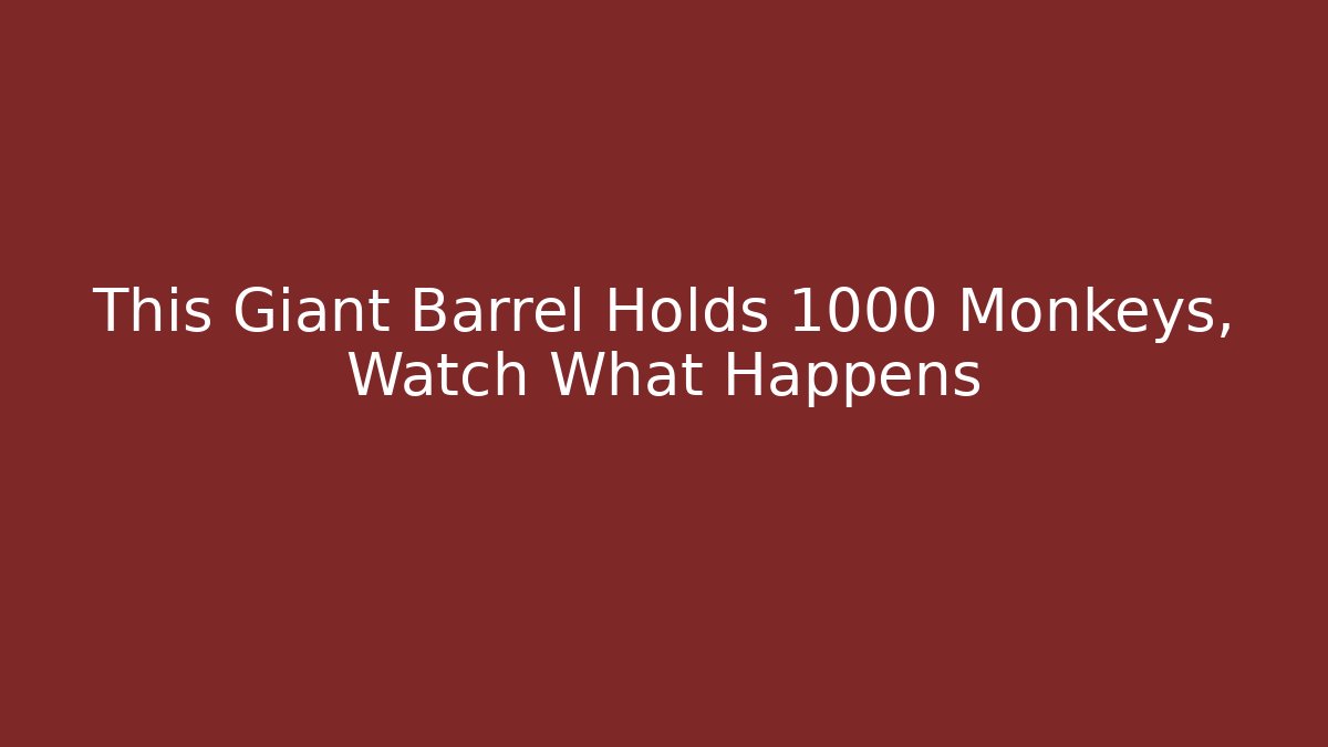 This Giant Barrel Holds 1000 Monkeys, Watch What Happens - Critter Realm