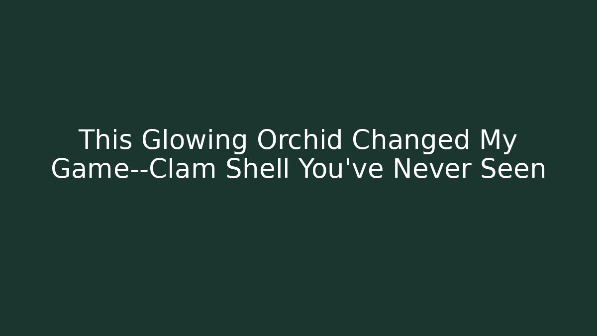 This Glowing Orchid Changed My Game—Clam Shell You’ve Never Seen