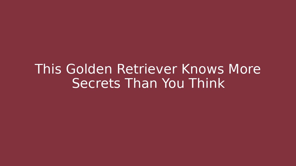 This Golden Retriever Knows More Secrets Than You Think