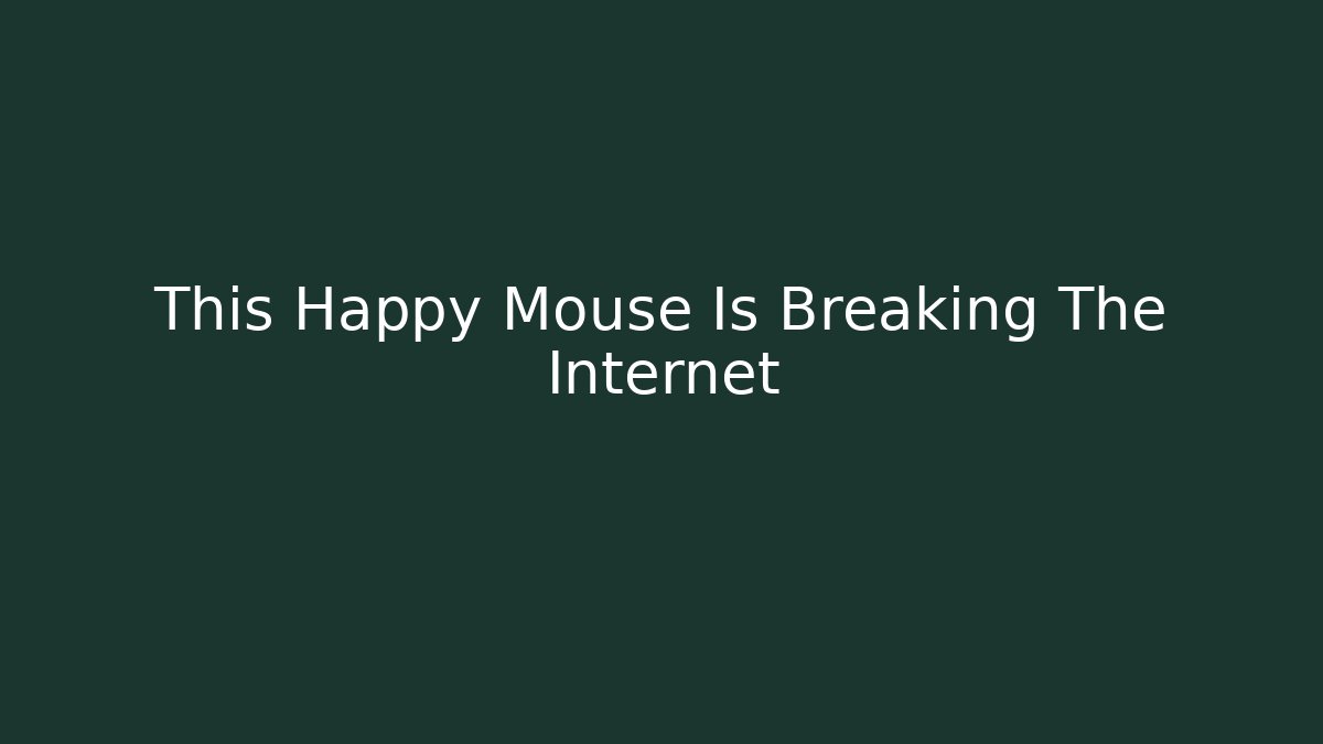 This Happy Mouse Is Breaking The Internet