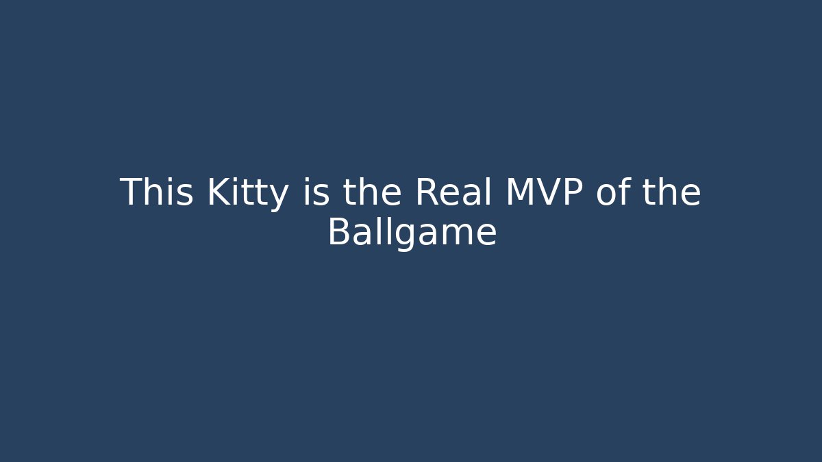 This Kitty is the Real MVP of the Ballgame