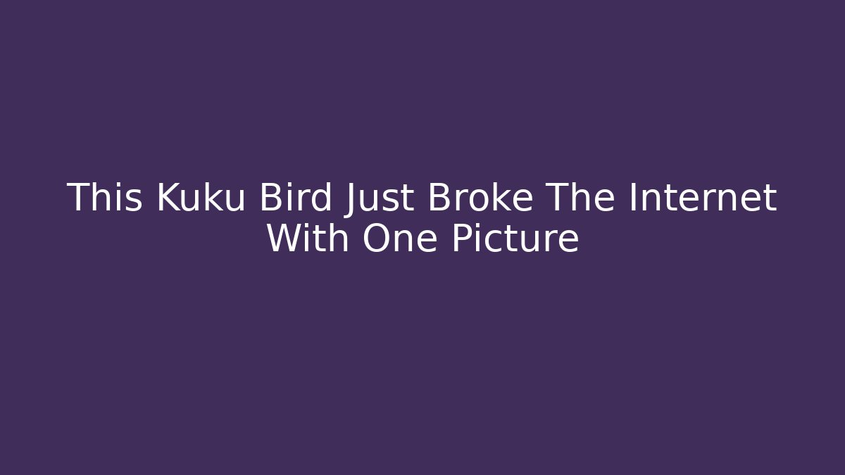 This Kuku Bird Just Broke The Internet With One Picture