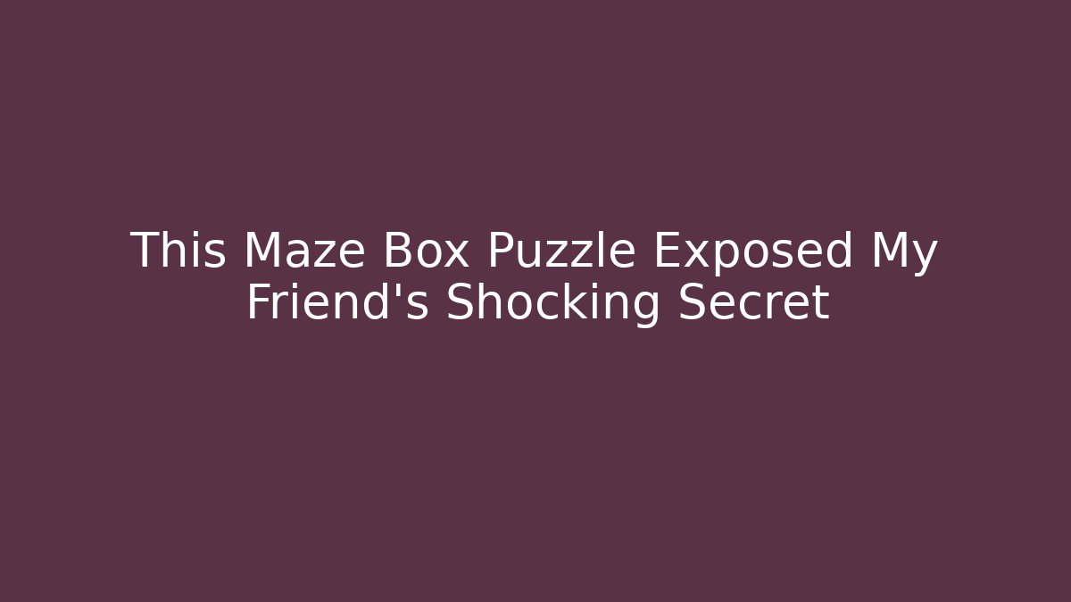This Maze Box Puzzle Exposed My Friend’s Shocking Secret