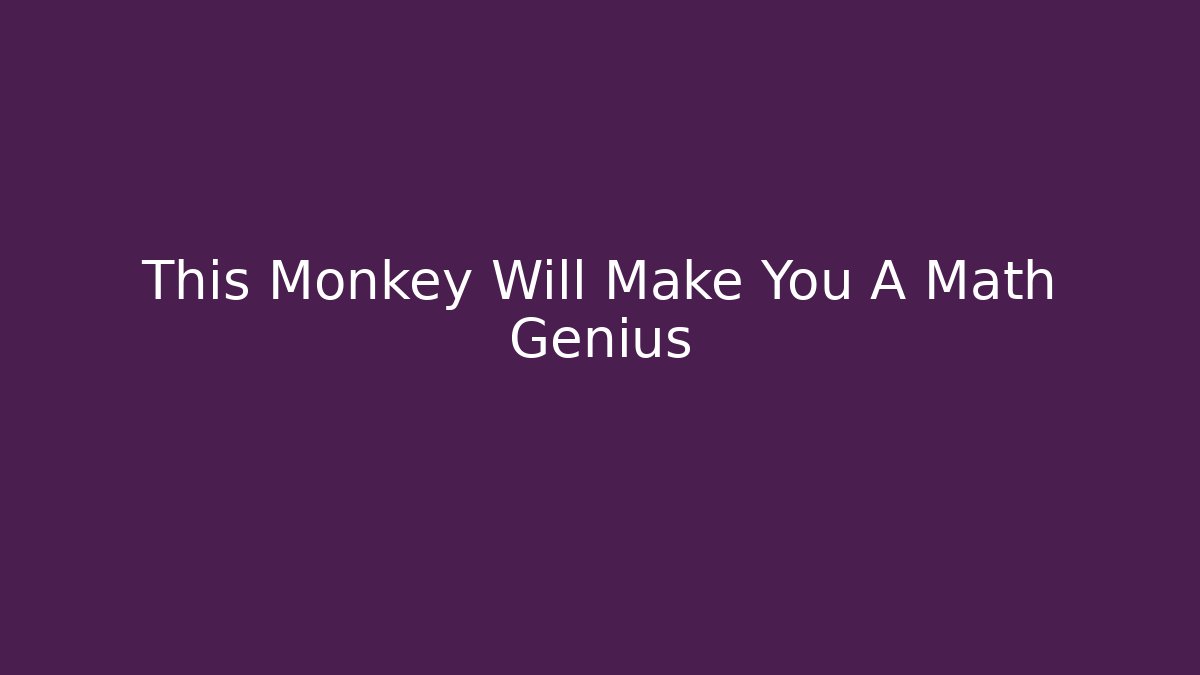 This Monkey Will Make You A Math Genius