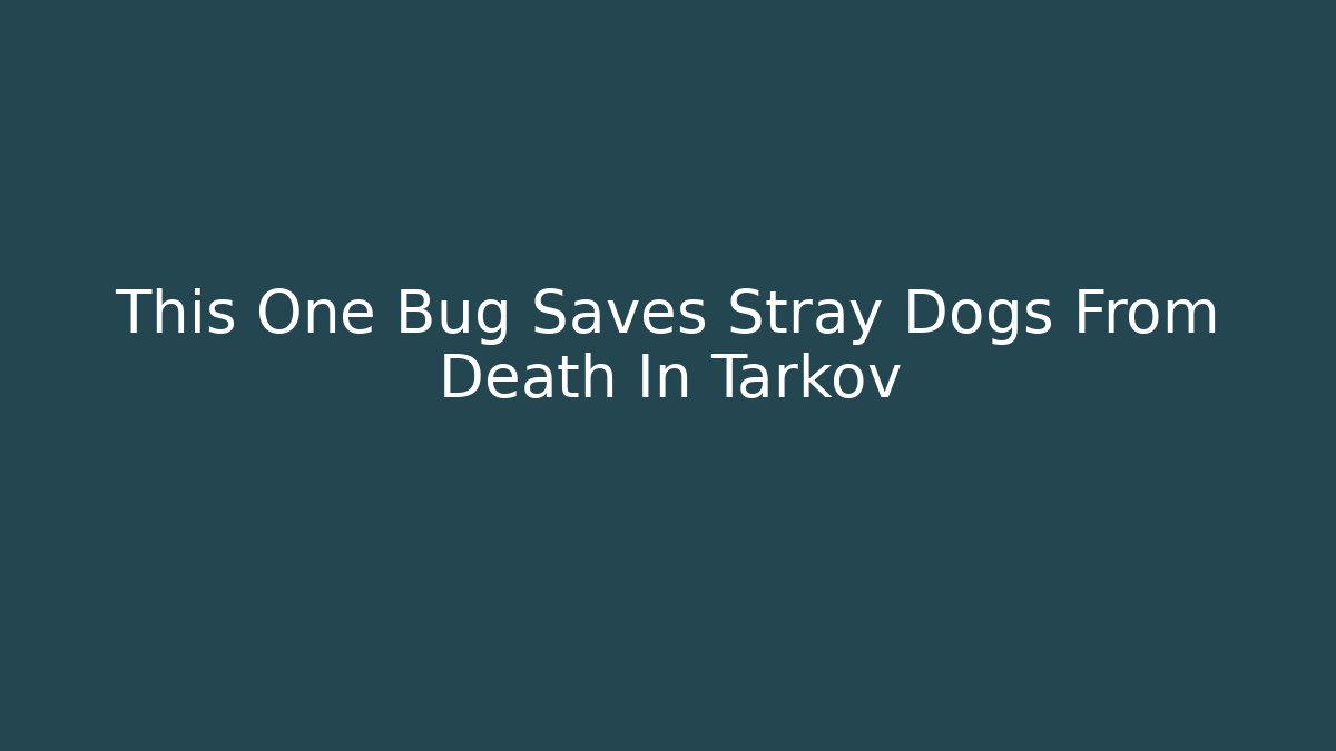 This One Bug Saves Stray Dogs From Death In Tarkov - Critter Realm