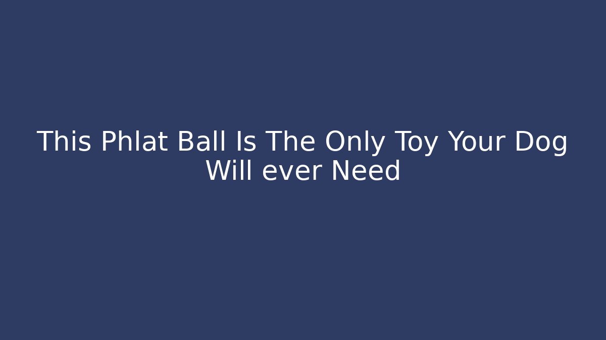 This Phlat Ball Is The Only Toy Your Dog Will ever Need