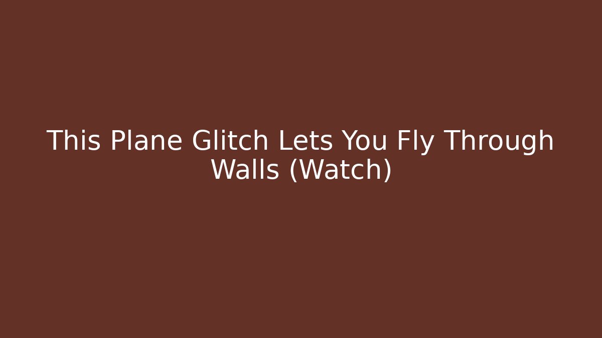 This Plane Glitch Lets You Fly Through Walls (Watch) - Critter Realm