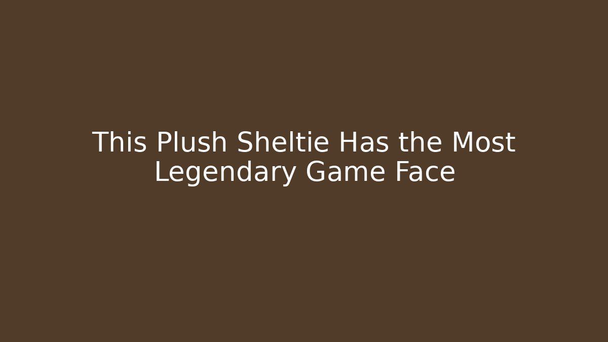 This Plush Sheltie Has the Most Legendary Game Face