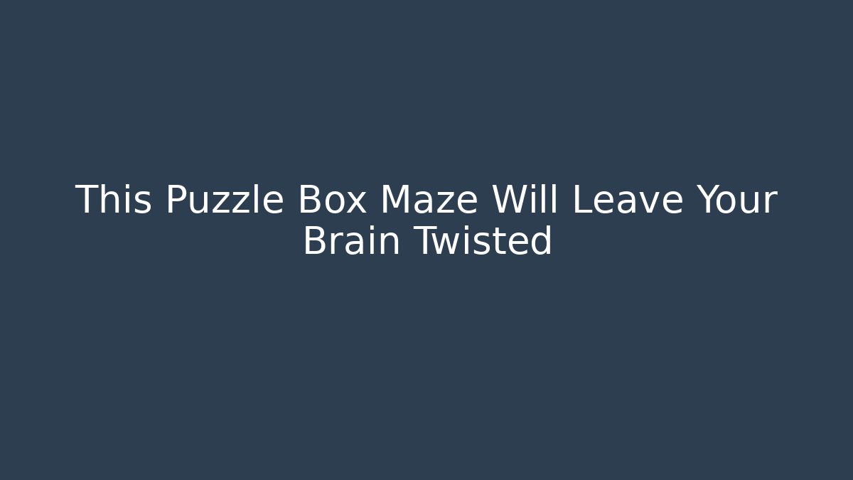 This Puzzle Box Maze Will Leave Your Brain Twisted