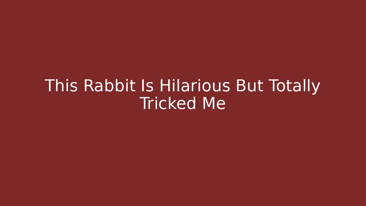 This Rabbit Is Hilarious But Totally Tricked Me