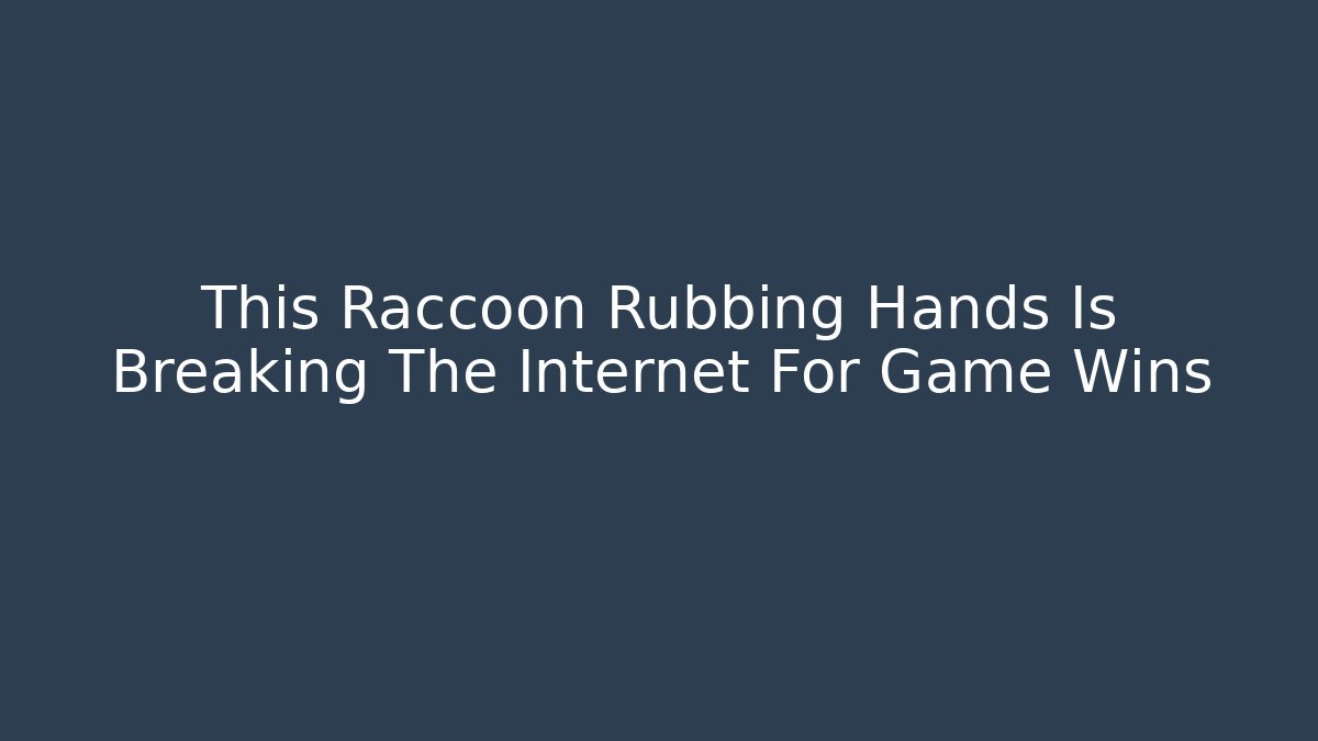 This Raccoon Rubbing Hands Is Breaking The Internet For Game Wins