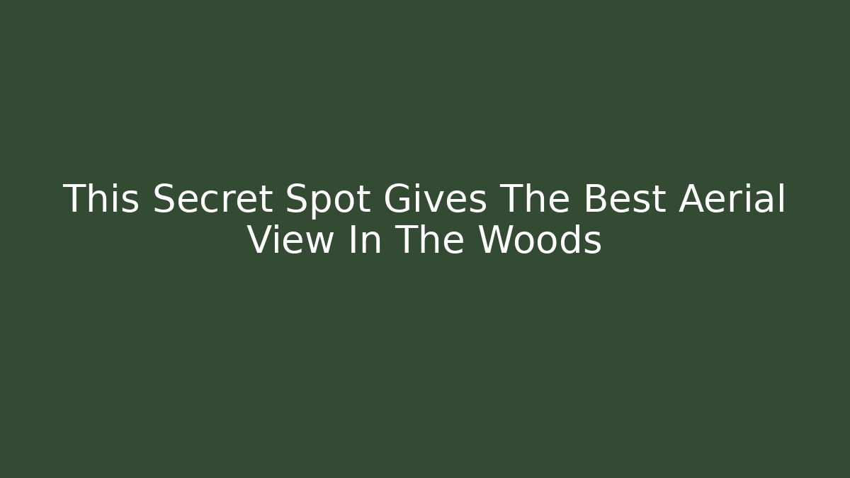 This Secret Spot Gives The Best Aerial View In The Woods