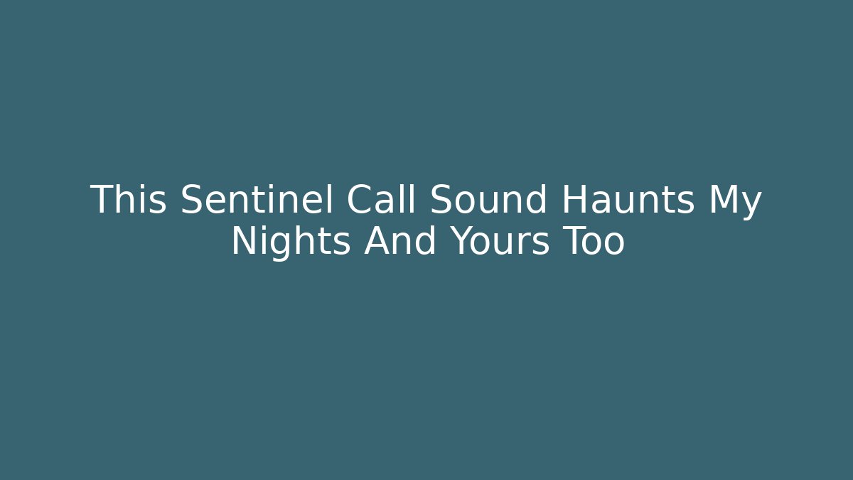 This Sentinel Call Sound Haunts My Nights And Yours Too