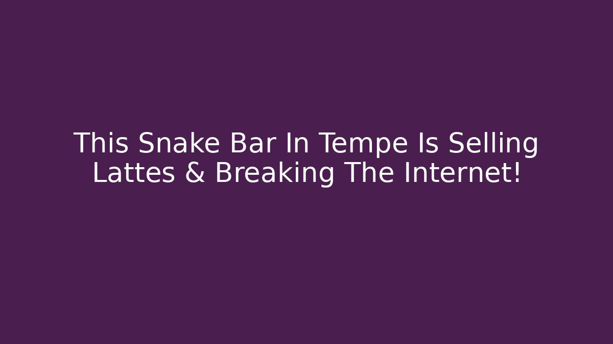 This Snake Bar In Tempe Is Selling Lattes & Breaking The Internet!