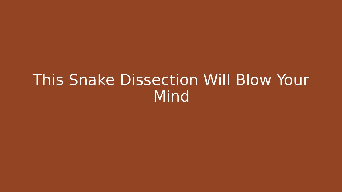 This Snake Dissection Will Blow Your Mind - Critter Realm