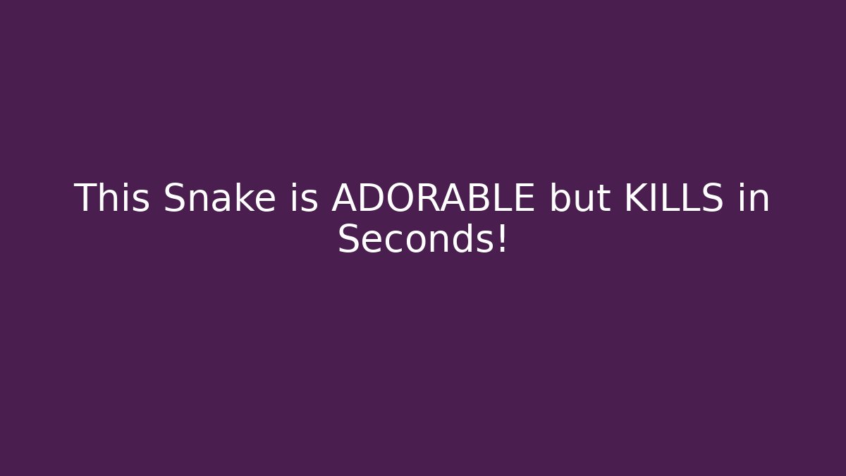This Snake is ADORABLE but KILLS in Seconds!