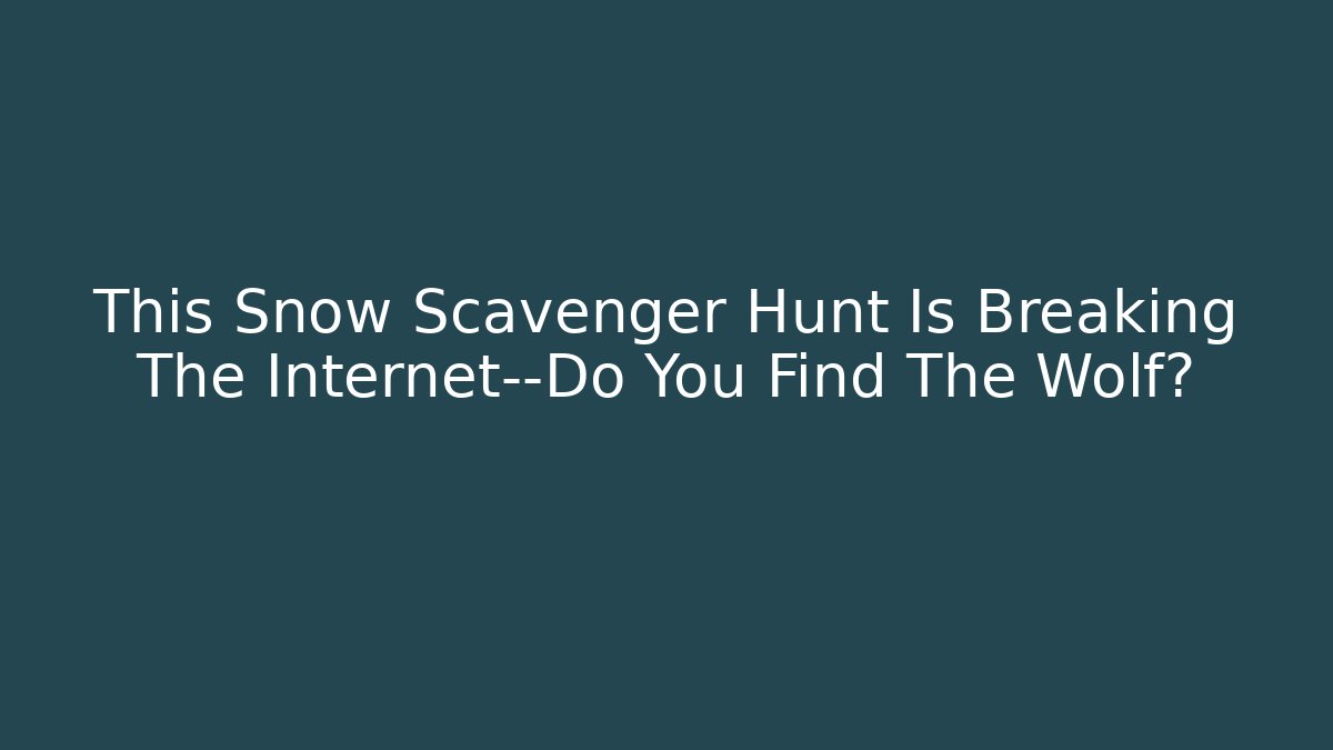 This Snow Scavenger Hunt Is Breaking The Internet—Do You Find The Wolf?