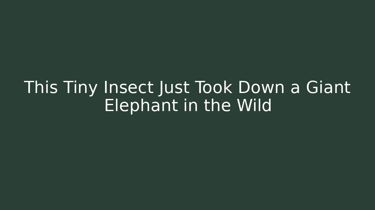 This Tiny Insect Just Took Down a Giant Elephant in the Wild - Critter Realm