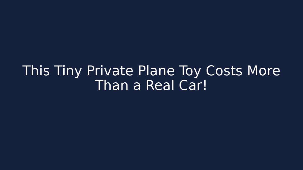This Tiny Private Plane Toy Costs More Than a Real Car! - Critter Realm