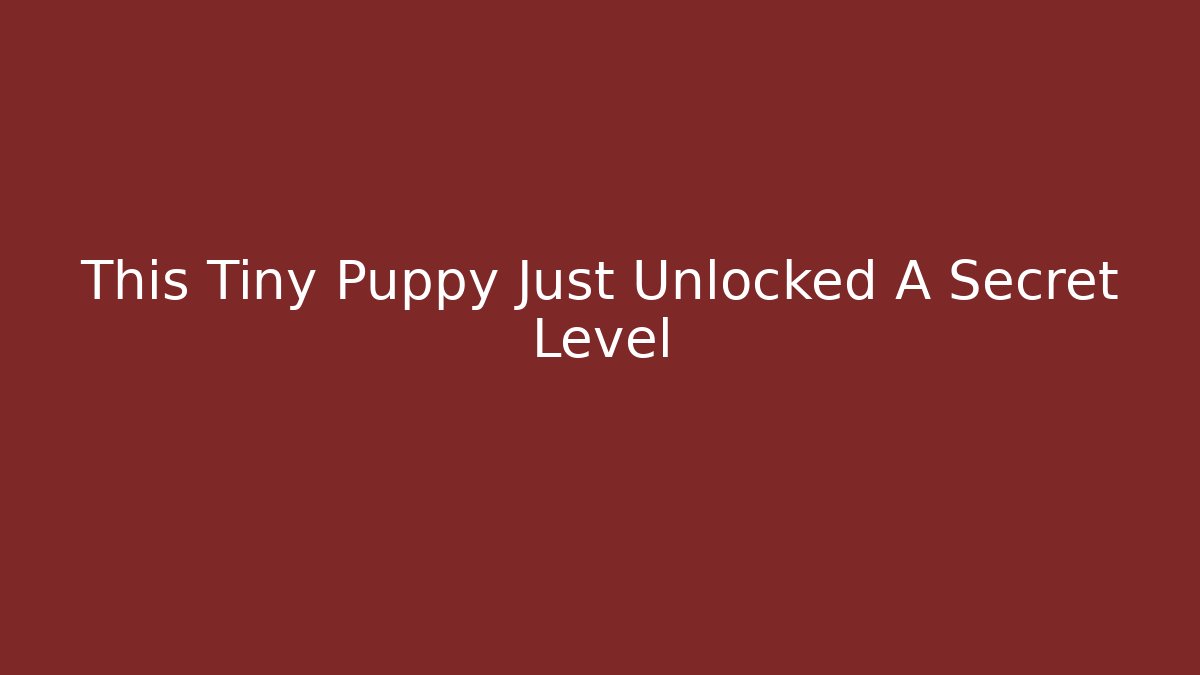 This Tiny Puppy Just Unlocked A Secret Level - Critter Realm