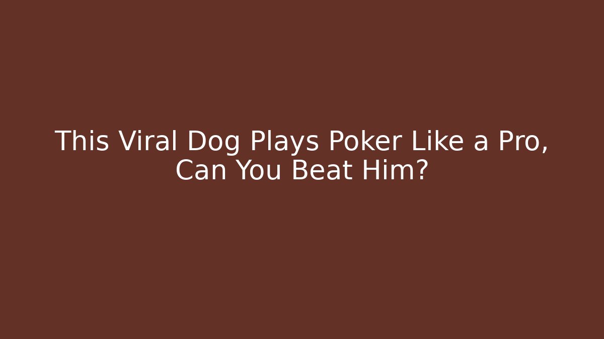 This Viral Dog Plays Poker Like a Pro, Can You Beat Him?