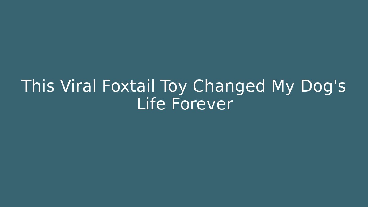 This Viral Foxtail Toy Changed My Dog's Life Forever - Critter Realm
