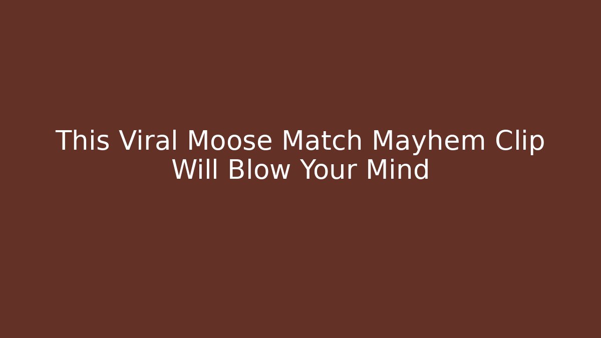 This Viral Moose Match Mayhem Clip Will Blow Your Mind
