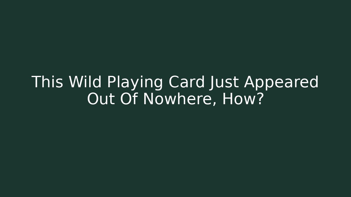 This Wild Playing Card Just Appeared Out Of Nowhere, How?