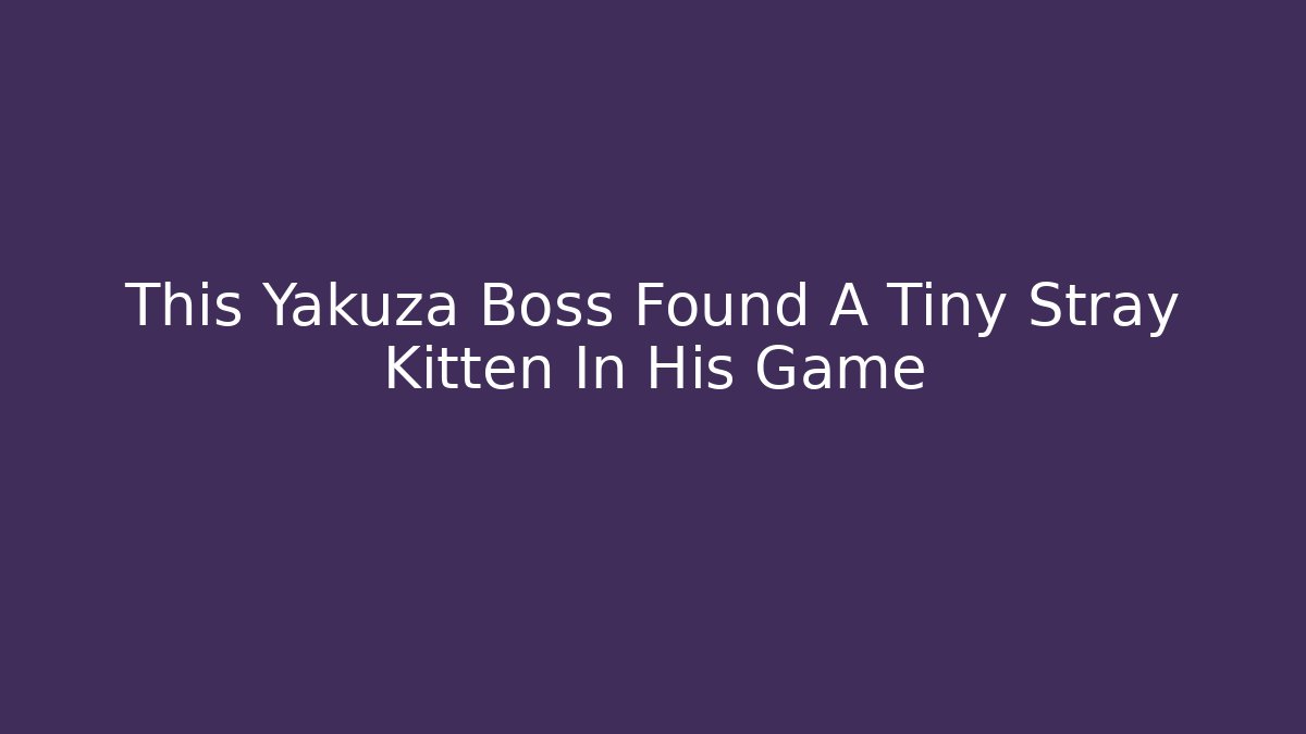 This Yakuza Boss Found A Tiny Stray Kitten In His Game