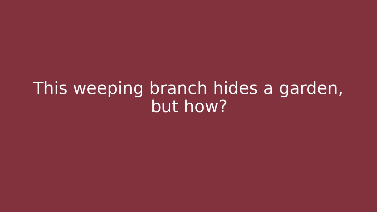 This weeping branch hides a garden, but how?