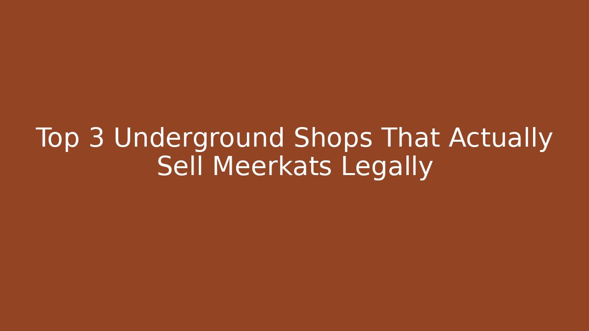 Top 3 Underground Shops That Actually Sell Meerkats Legally