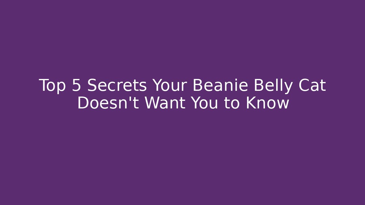 Top 5 Secrets Your Beanie Belly Cat Doesn't Want You to Know