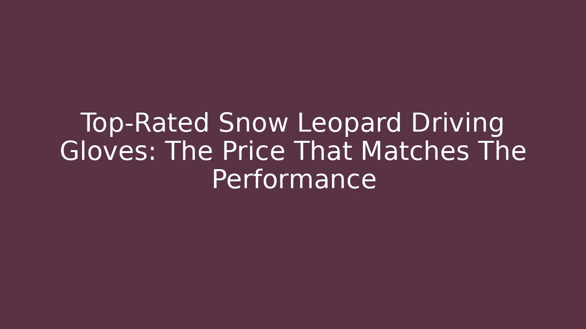 Top-Rated Snow Leopard Driving Gloves: The Price That Matches The Performance