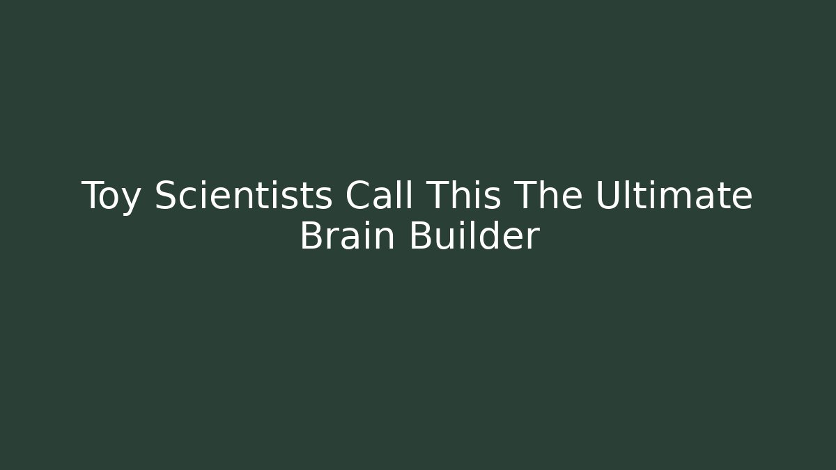 Toy Scientists Call This The Ultimate Brain Builder