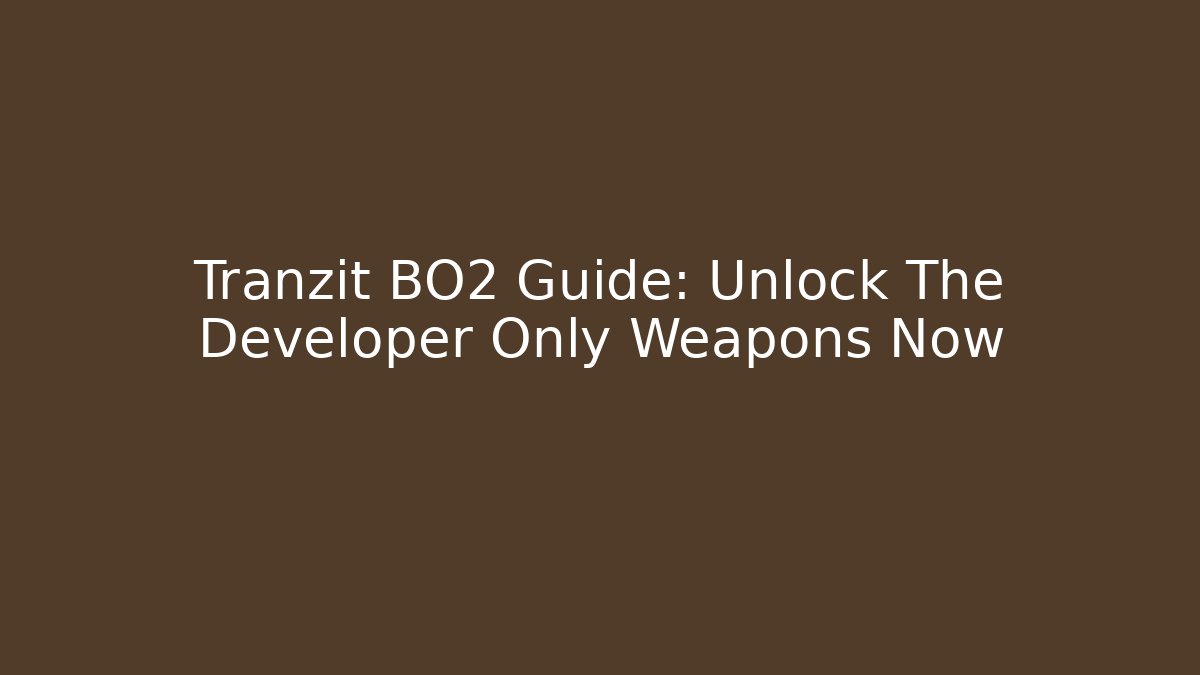Tranzit BO2 Guide: Unlock The Developer Only Weapons Now