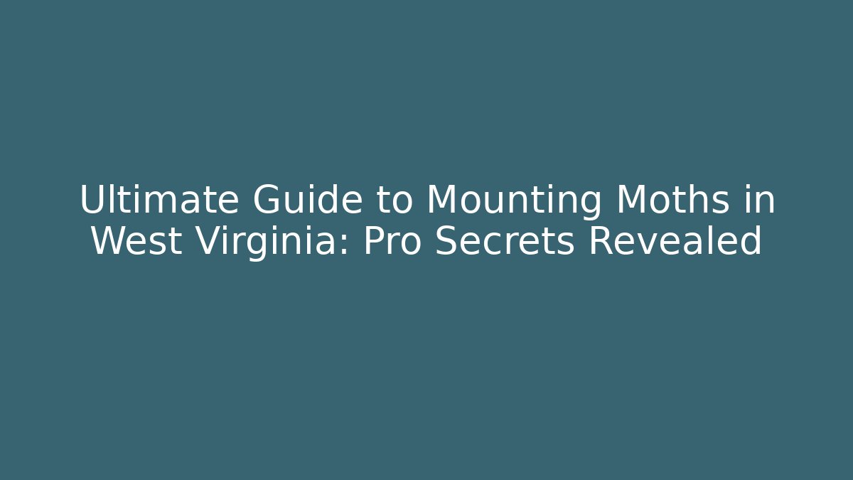 Ultimate Guide to Mounting Moths in West Virginia: Pro Secrets Revealed - Critter Realm