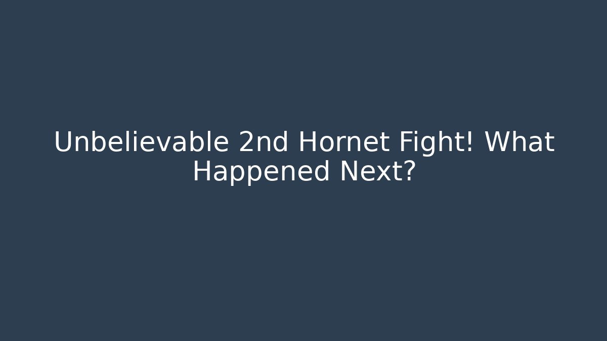 Unbelievable 2nd Hornet Fight! What Happened Next? - Critter Realm