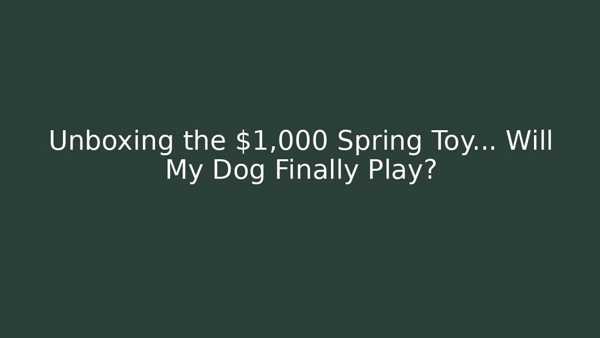 Unboxing the $1,000 Spring Toy… Will My Dog Finally Play?