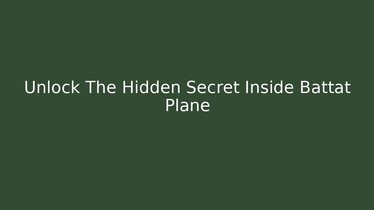 Unlock The Hidden Secret Inside Battat Plane