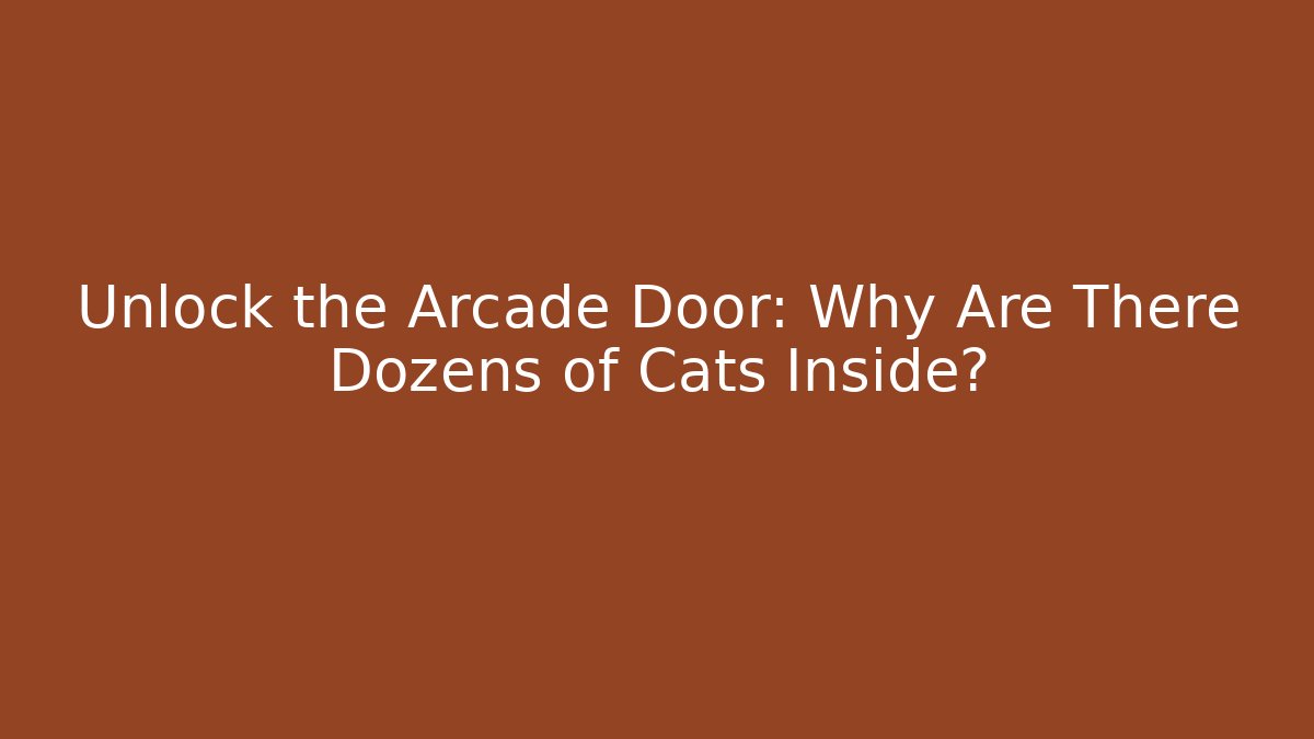 Unlock the Arcade Door: Why Are There Dozens of Cats Inside?