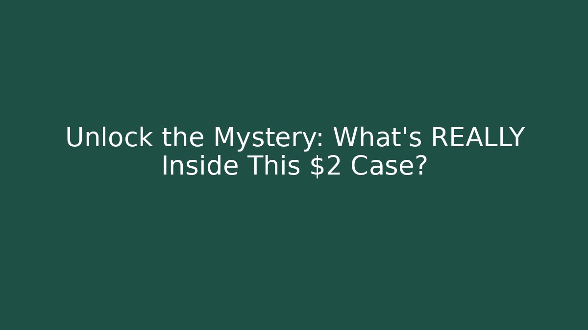 Unlock the Mystery: What's REALLY Inside This $2 Case?
