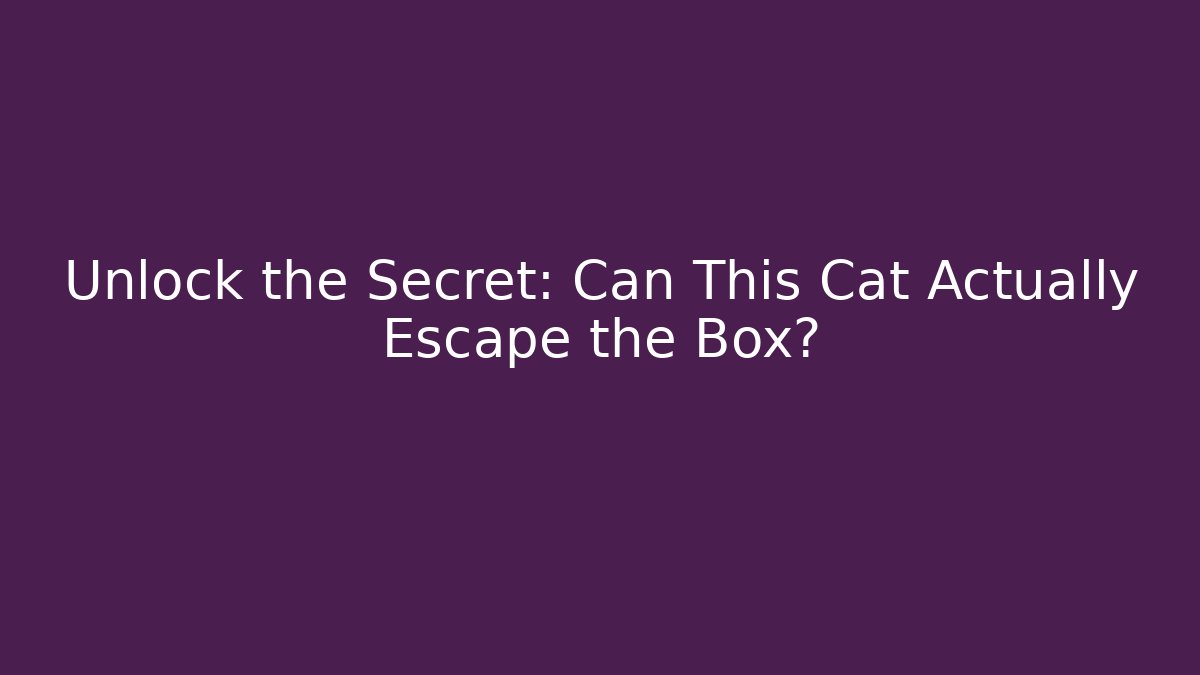 Unlock the Secret: Can This Cat Actually Escape the Box?