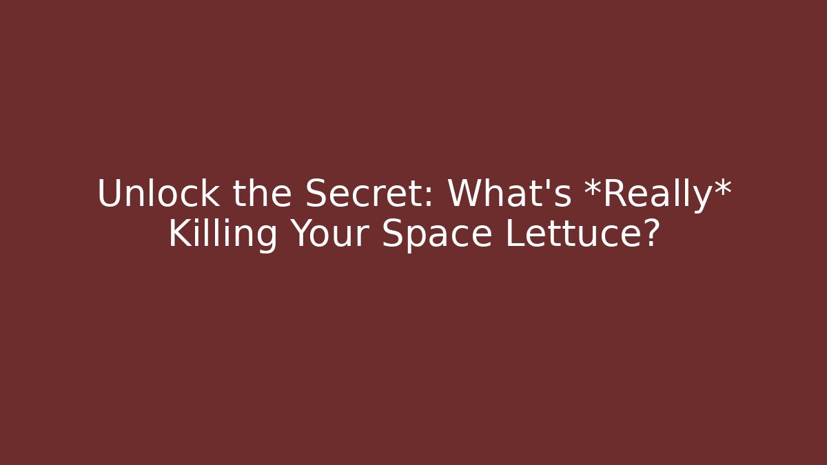 Unlock the Secret: What's *Really* Killing Your Space Lettuce?