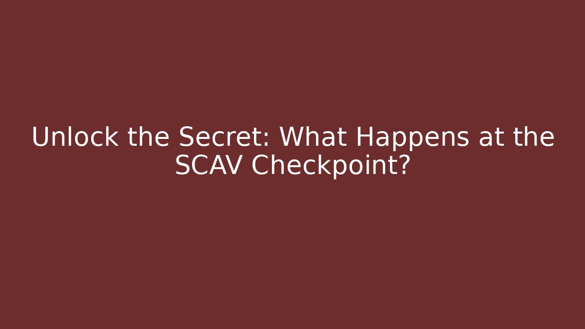 Unlock the Secret: What Happens at the SCAV Checkpoint?