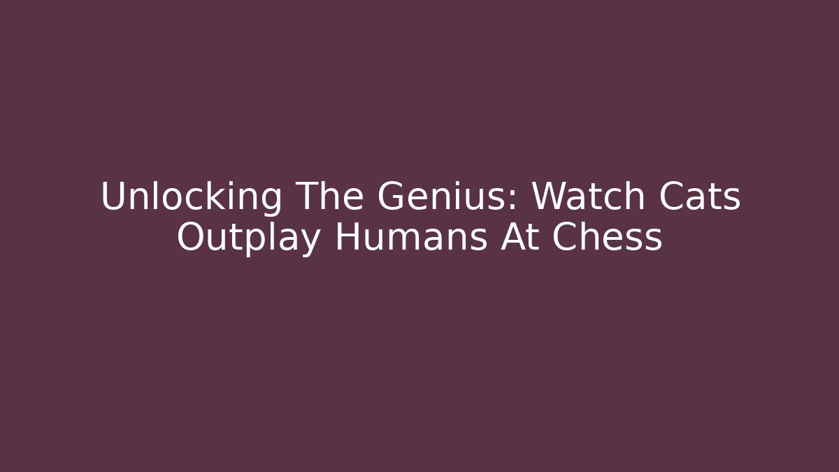 Unlocking The Genius: Watch Cats Outplay Humans At Chess