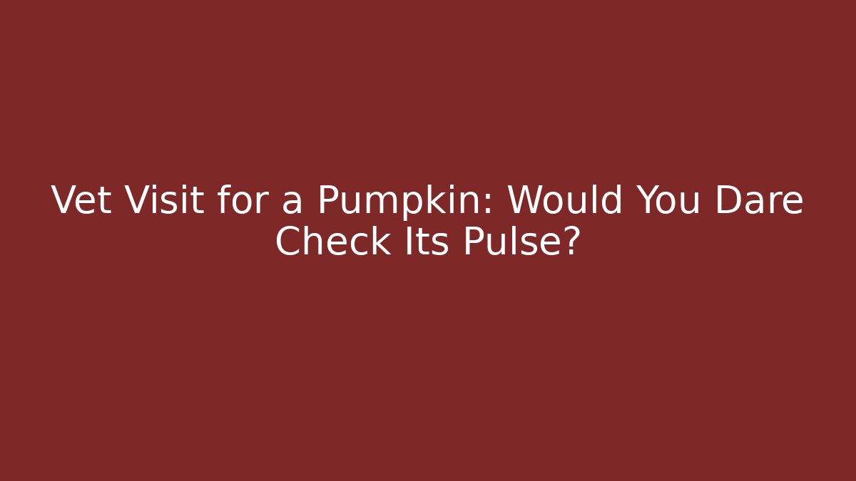 Vet Visit for a Pumpkin: Would You Dare Check Its Pulse?