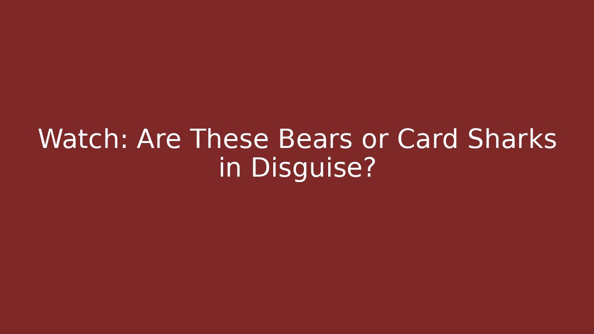 Watch: Are These Bears or Card Sharks in Disguise?