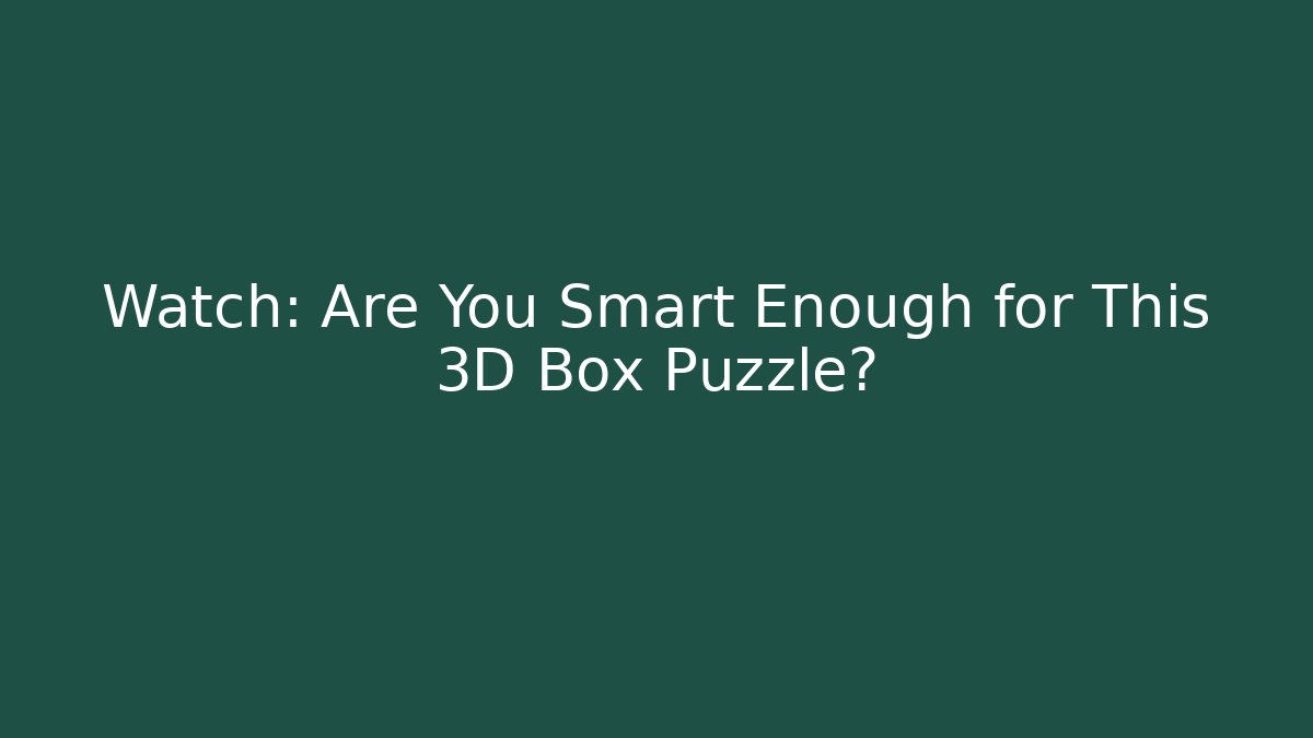 Watch: Are You Smart Enough for This 3D Box Puzzle?