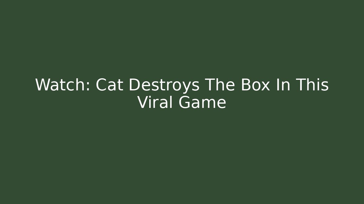 Watch: Cat Destroys The Box In This Viral Game